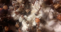 Preview: Camponotus nicobarensis
